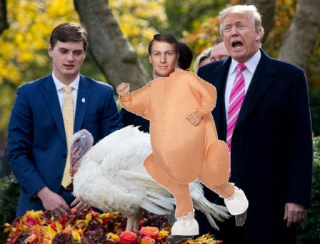 Trump Pardons Thanksgiving Turkey, Jared Kushner