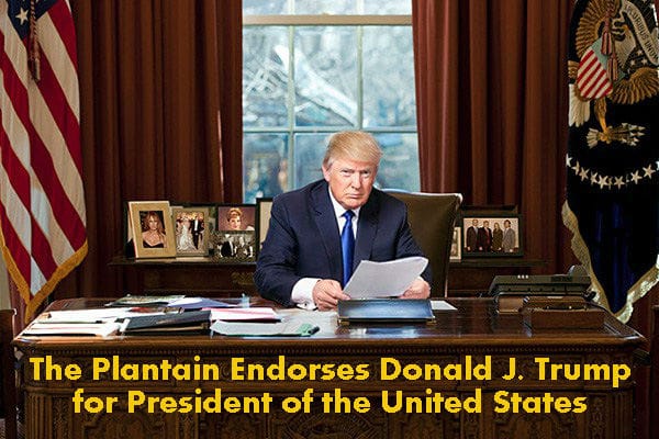 The Plantain Endorses Donald Trump For President
