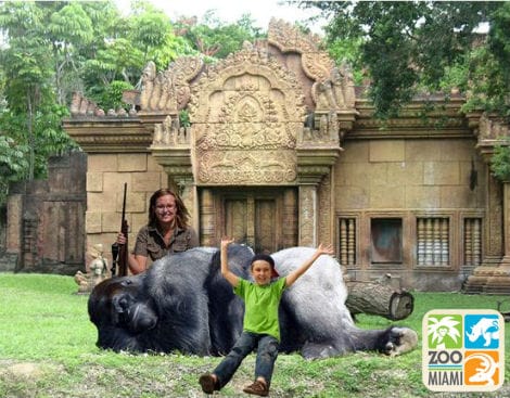 Fearing Another Harambe Incident, Zoo Miami Preemptively Kills Gorilla
