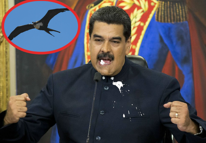 Bird Craps In Maduro's Mouth, 6 Dissidents Arrested on Conspiracy Charges
